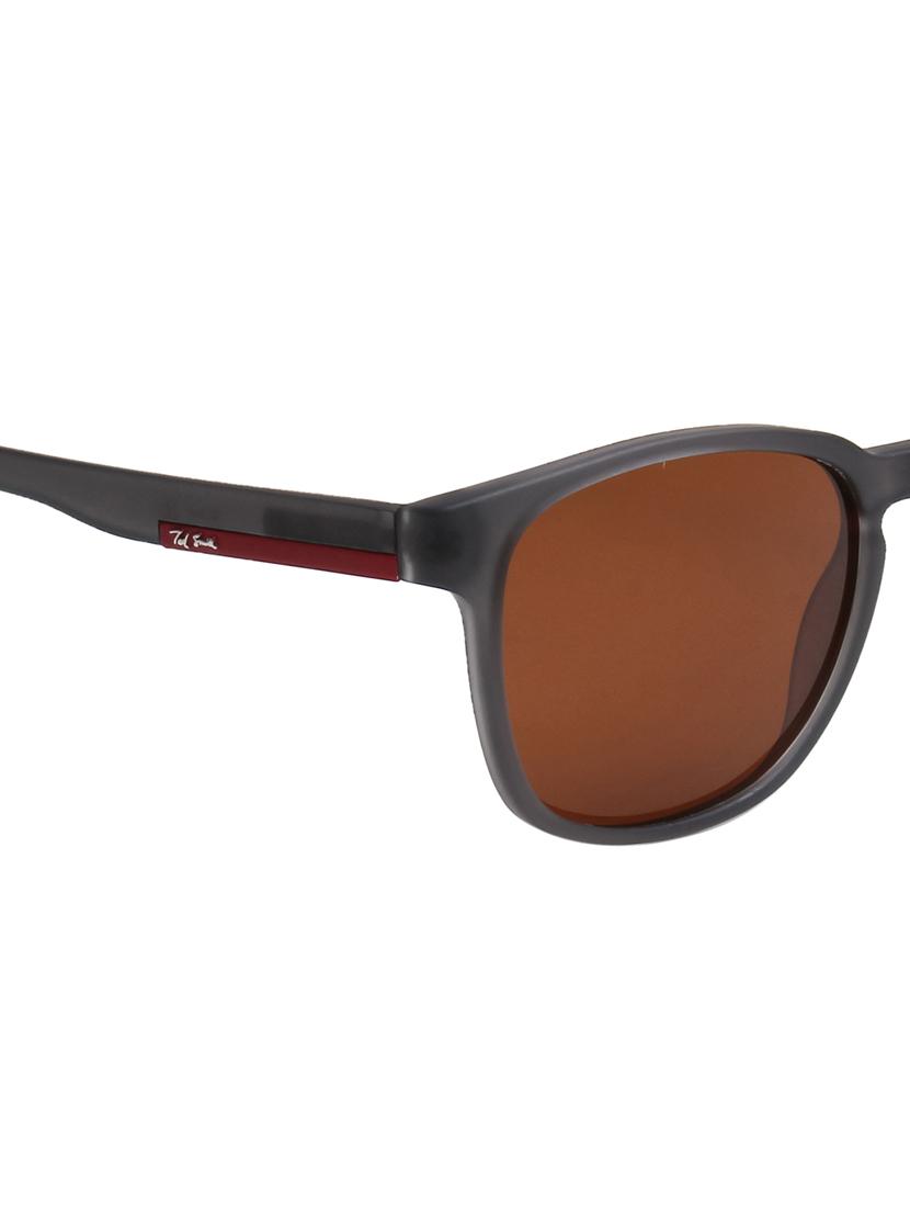 ted smith unisex wayfarer sunglasses with polarised lens sun-bryden_c401 - 21983079 - Standard Image - 4