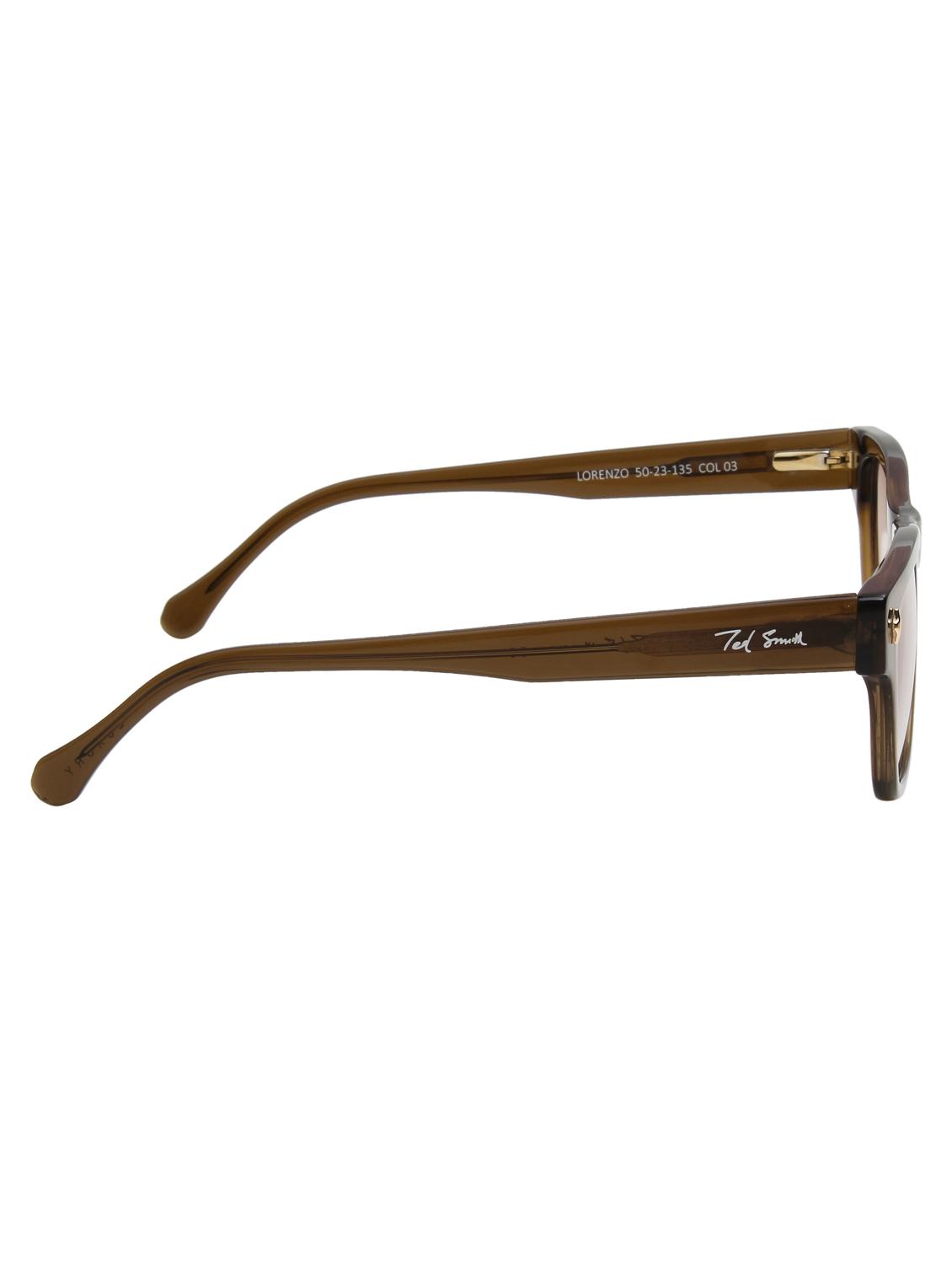 ted smith unisex brown wayfarer premium acetate sunglasses with polarised lens - 21983091 - Standard Image - 4