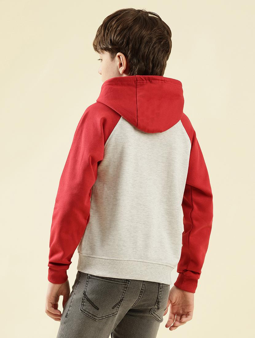 boys color blocked long sleeve hooded sweatshirt - 21997825 - Standard Image - 4