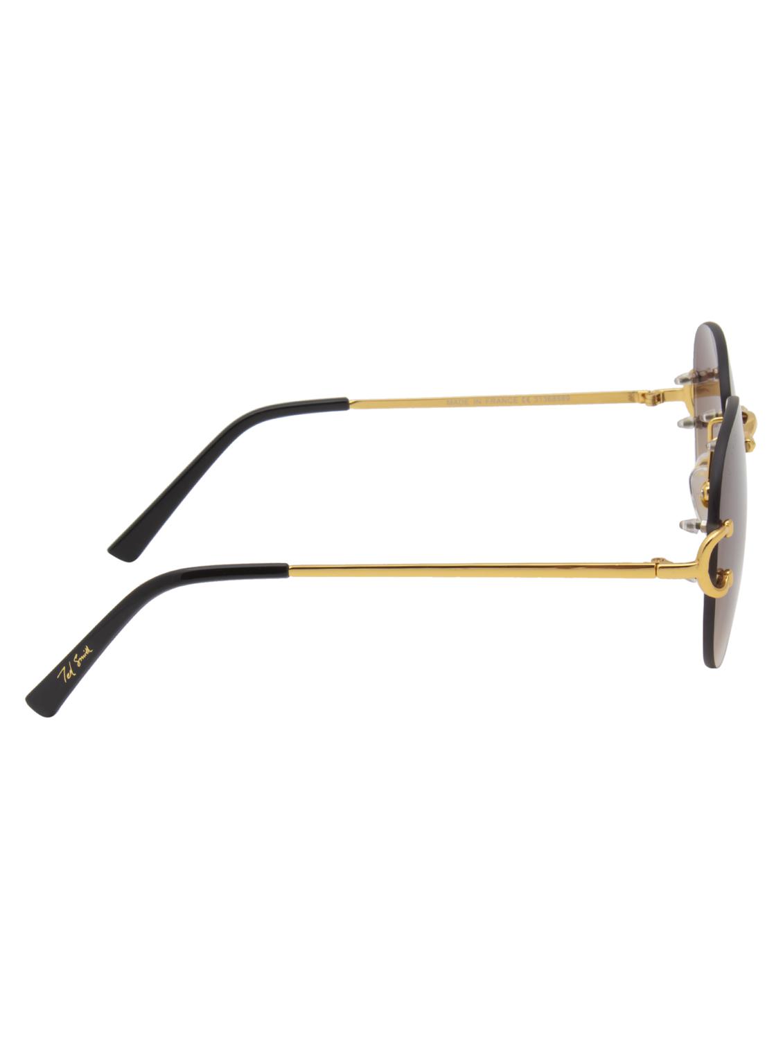 ted smith unisex aviator sunglasses with uv protected lens - 21998685 - Standard Image - 4