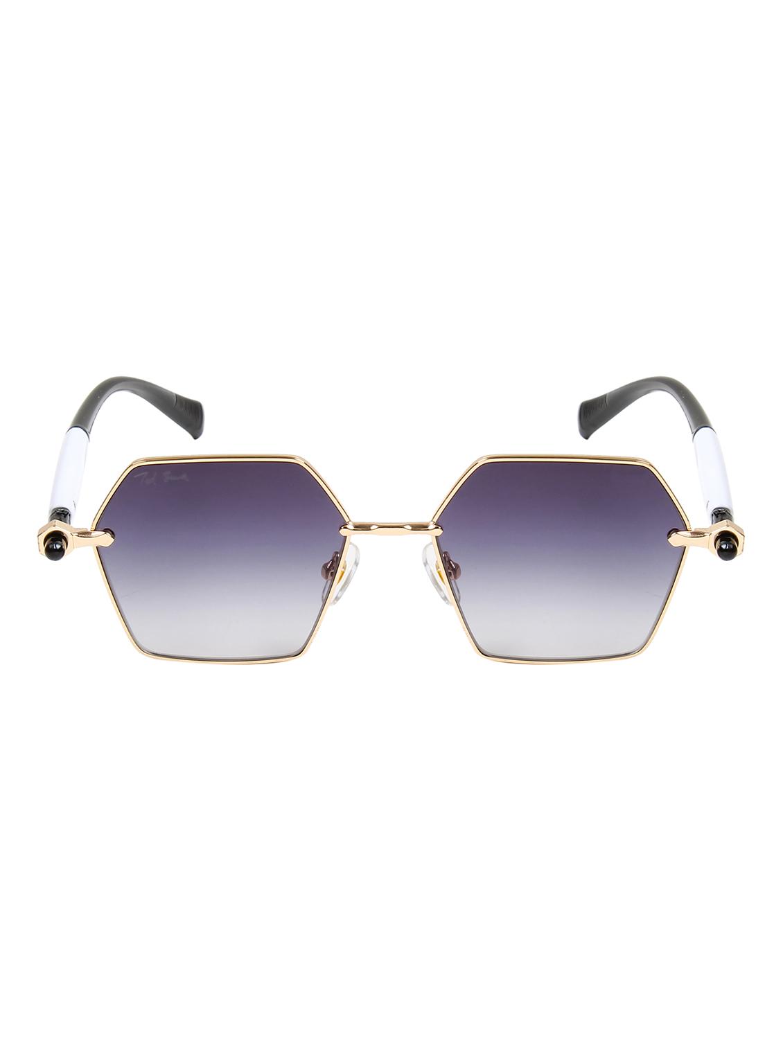 ted smith unisex aesthetic-bold gold-purple hexagon sunglasses with uv protected lens - 21998719 -  Standard Image - 1
