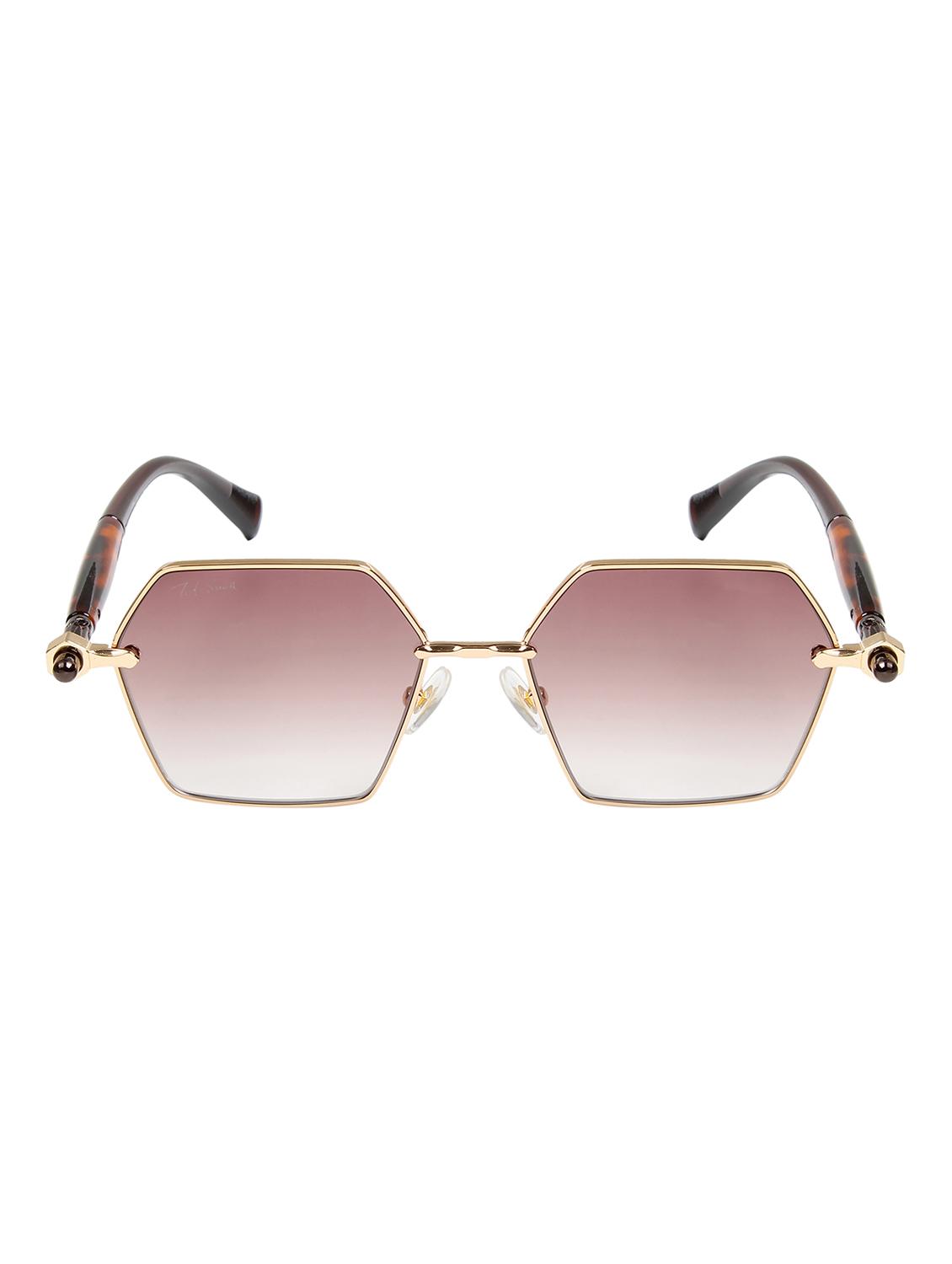 ted smith unisex aesthetic-bold gold-brown hexagon sunglasses with uv protected lens - 21998720 - Standard Image - 1