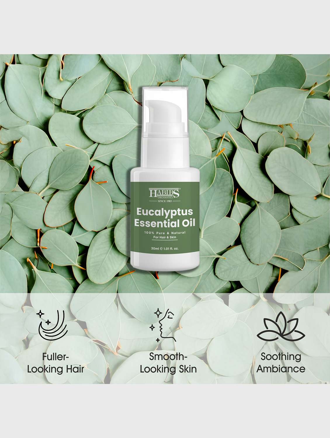 eucalyptus essential oil - 100% undiluted, therapeutic grade for respiratory & sinus relief 30ml - 22006216 -  Standard Image - 6