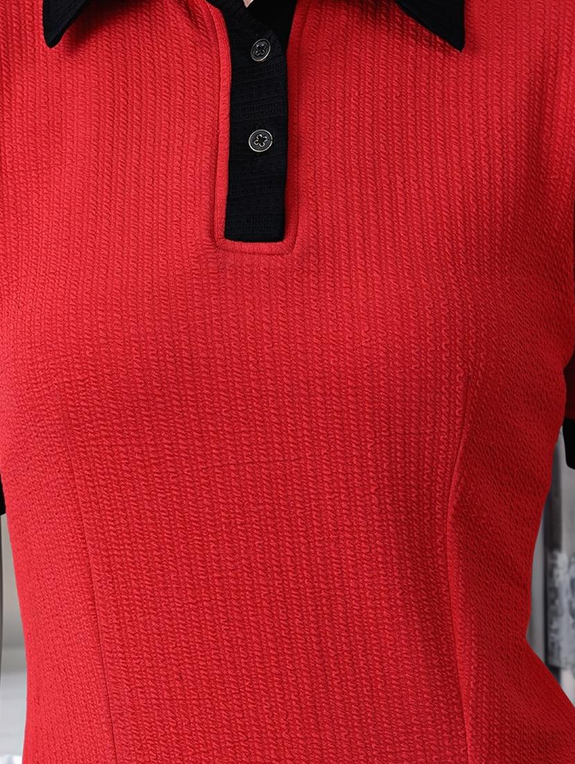 women solid collared short sleeve a-line dress - 22017545 - Standard Image - 4