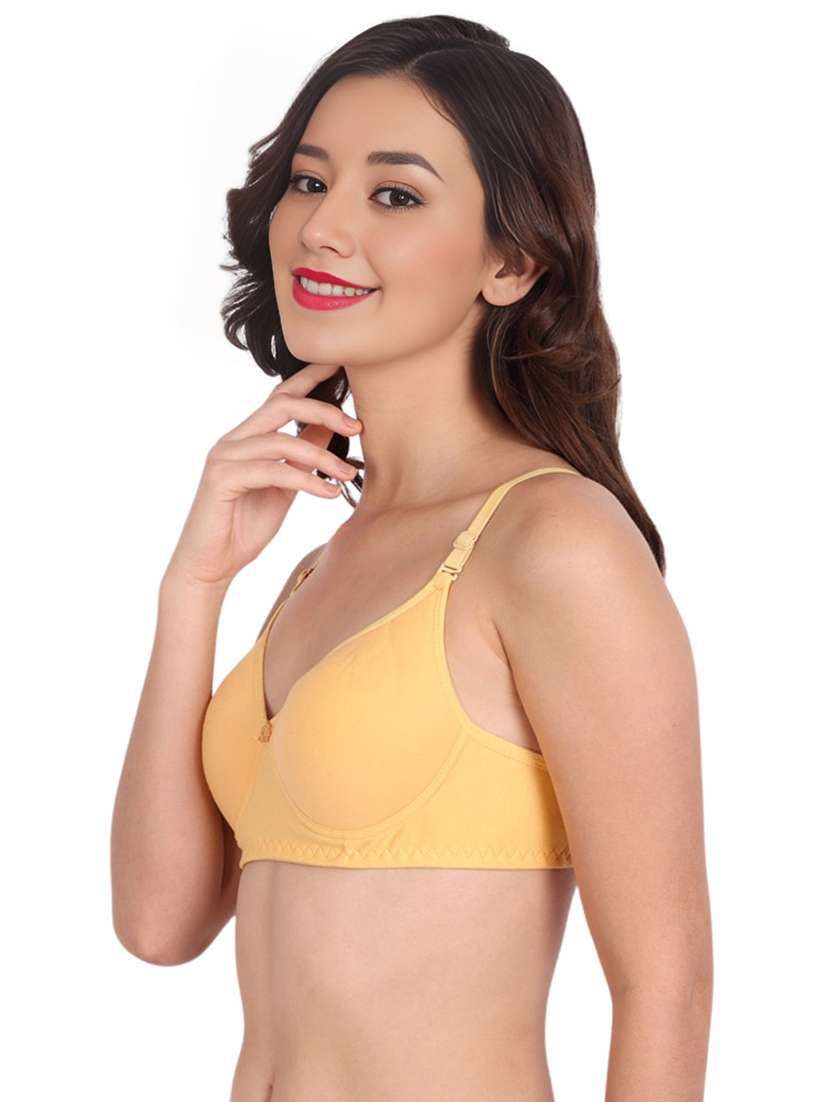 women pack of 3 solid lightly padded t-shirt bra - 22025713 -  Standard Image - 1