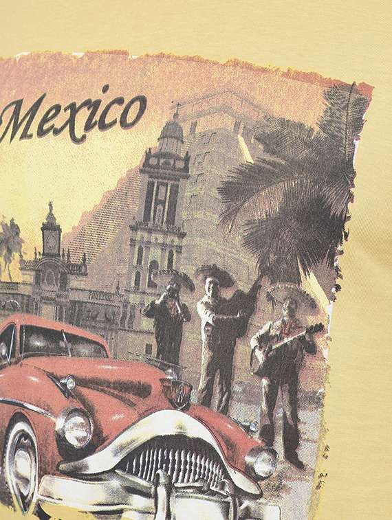 men front print short sleeve regular fit t-shirt - 22026967 -  Standard Image - 4