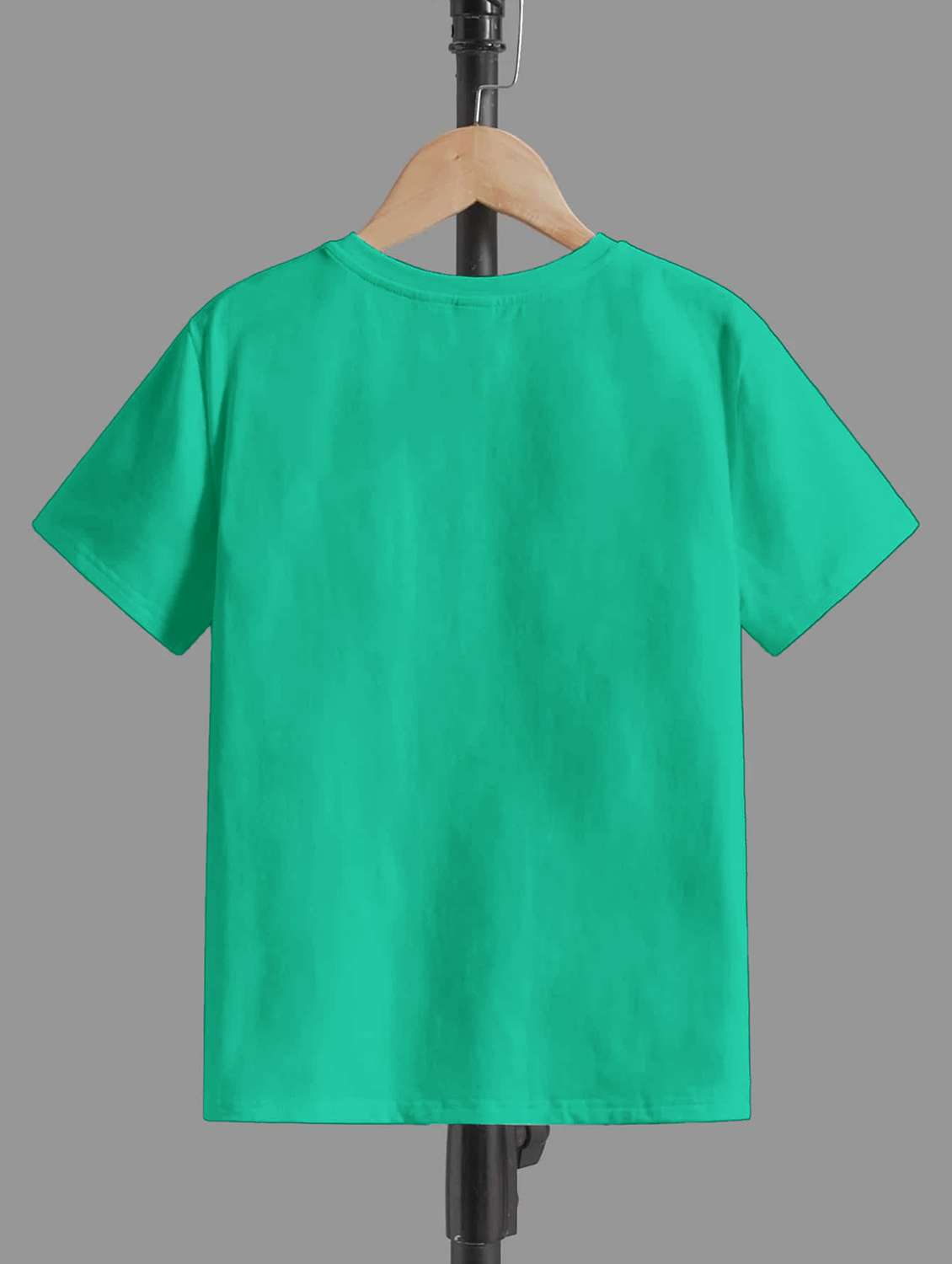 boys printed short sleeve t-shirt - 22031595 -  Standard Image - 1