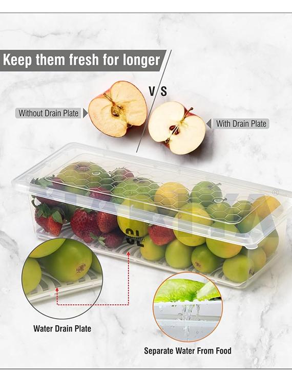 plastic storage container with lid for fridge - 22065818 -  Standard Image - 1
