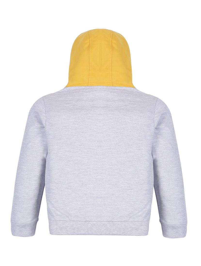 boys color blocked long sleeve hooded sweatshirt - 22070375 -  Standard Image - 1