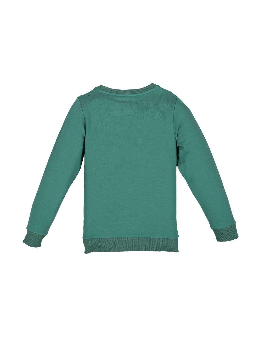 boys printed long sleeve sweatshirt - 22070415 -  Standard Image - 1