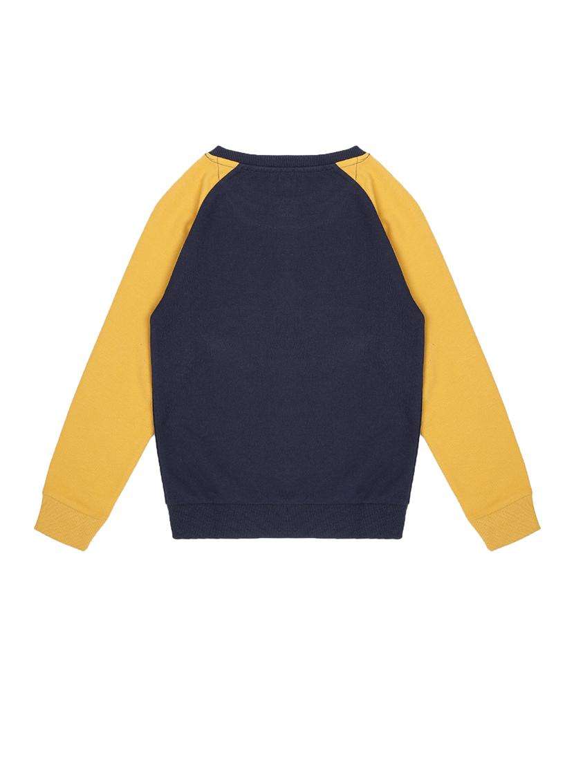 boys color blocked long sleeve sweatshirt - 22070456 -  Standard Image - 1