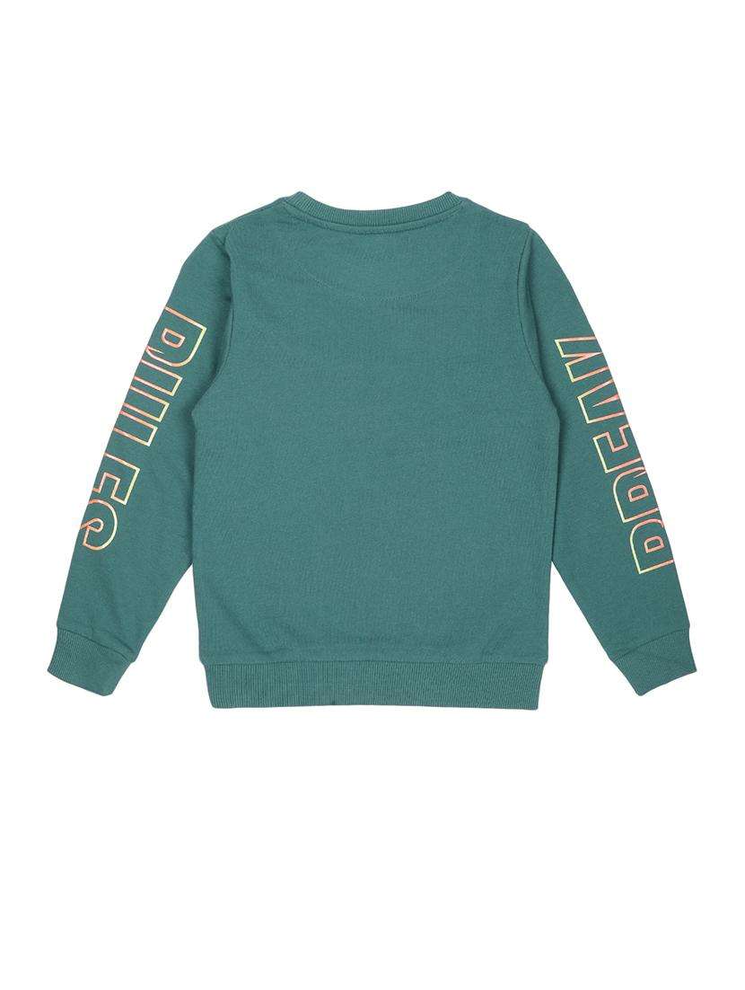 boys printed long sleeve sweatshirt - 22070459 - Standard Image - 1