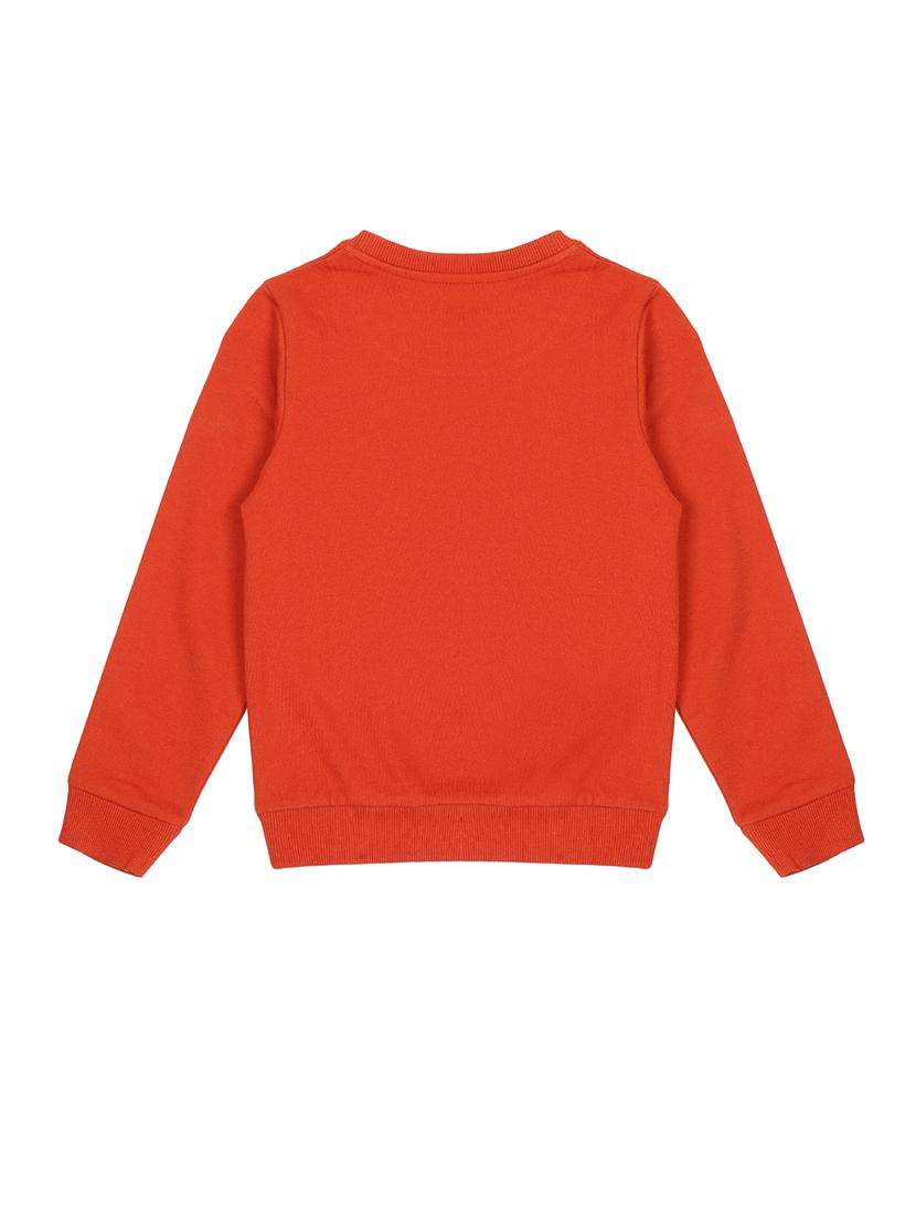 boys printed long sleeve sweatshirt - 22070460 -  Standard Image - 1