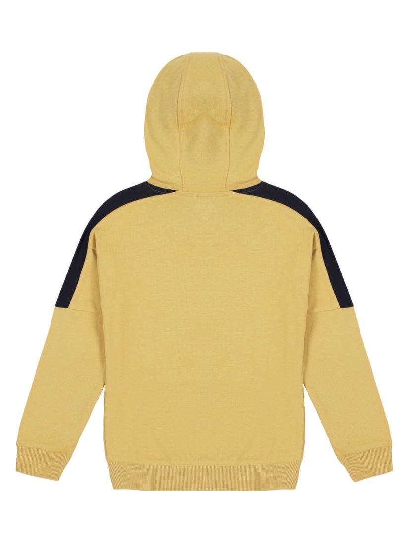 boys printed long sleeve hooded sweatshirt - 22070470 -  Standard Image - 1