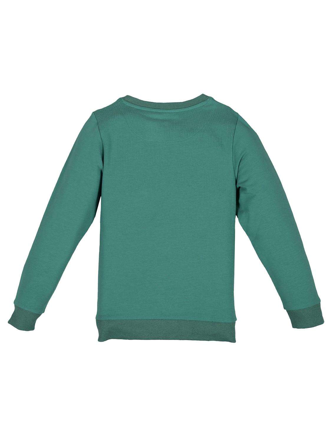 boys printed long sleeve sweatshirt - 22070538 -  Standard Image - 1