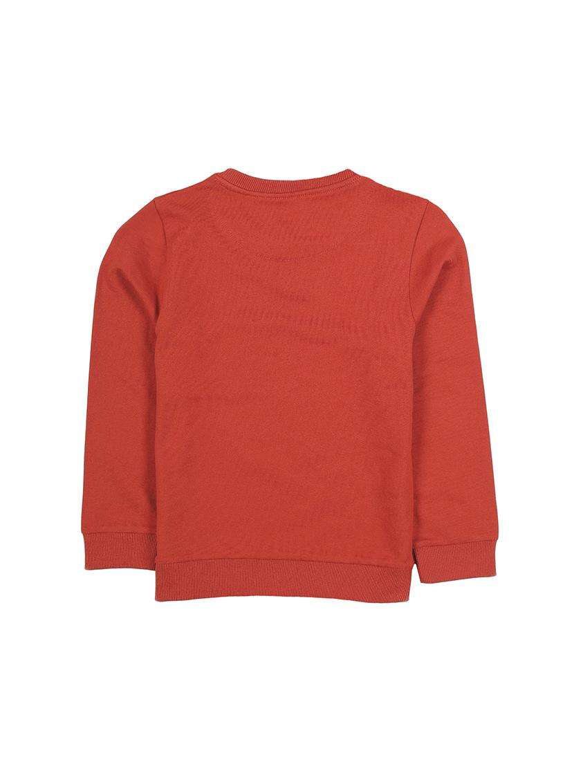 boys printed long sleeve sweatshirt - 22070561 -  Standard Image - 1