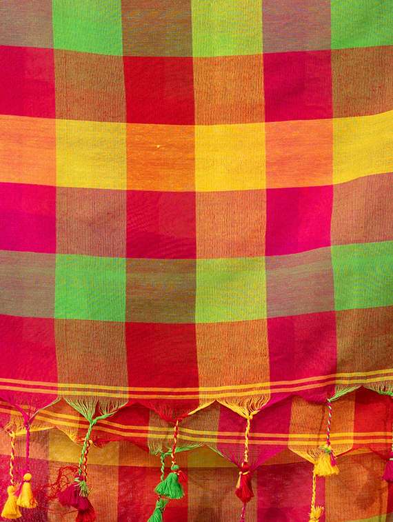 women checkered handloom saree with blouse - 22079298 -  Standard Image - 4