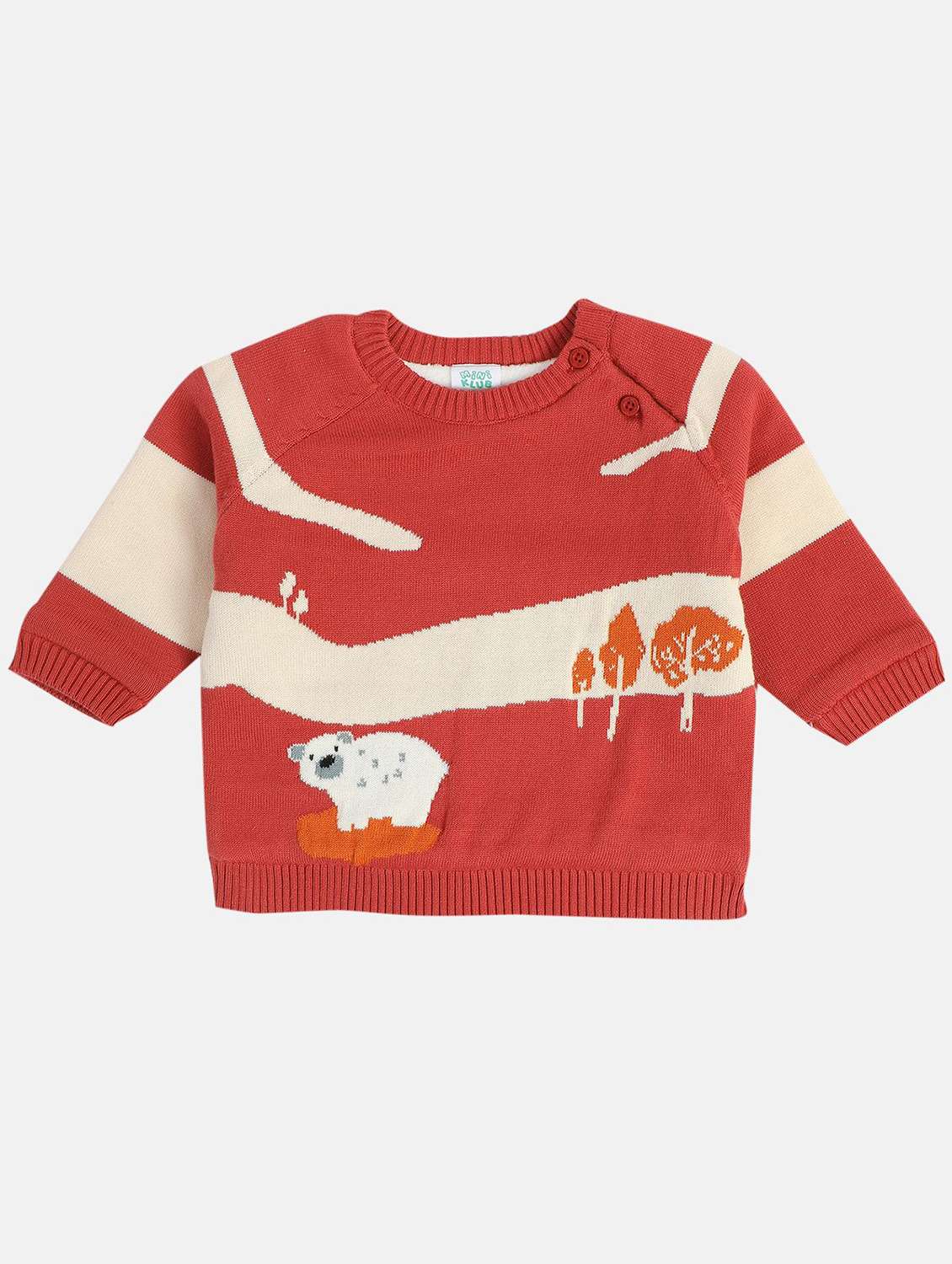 boys self designed long sleeve sweater