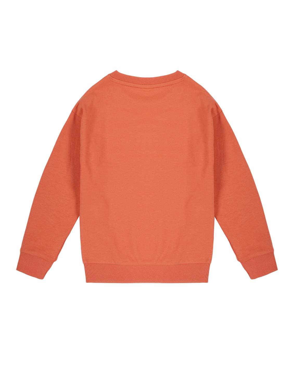 girls pack of 2 long sleeve sweatshirt - 22162345 - Standard Image - 1