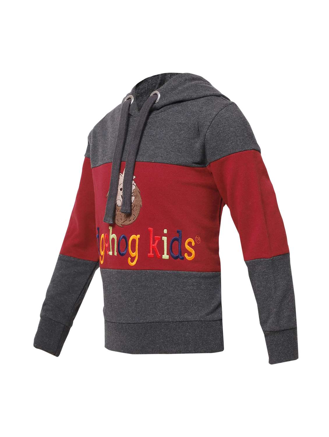 boys color blocked hooded full length set - 22179518 -  Standard Image - 4