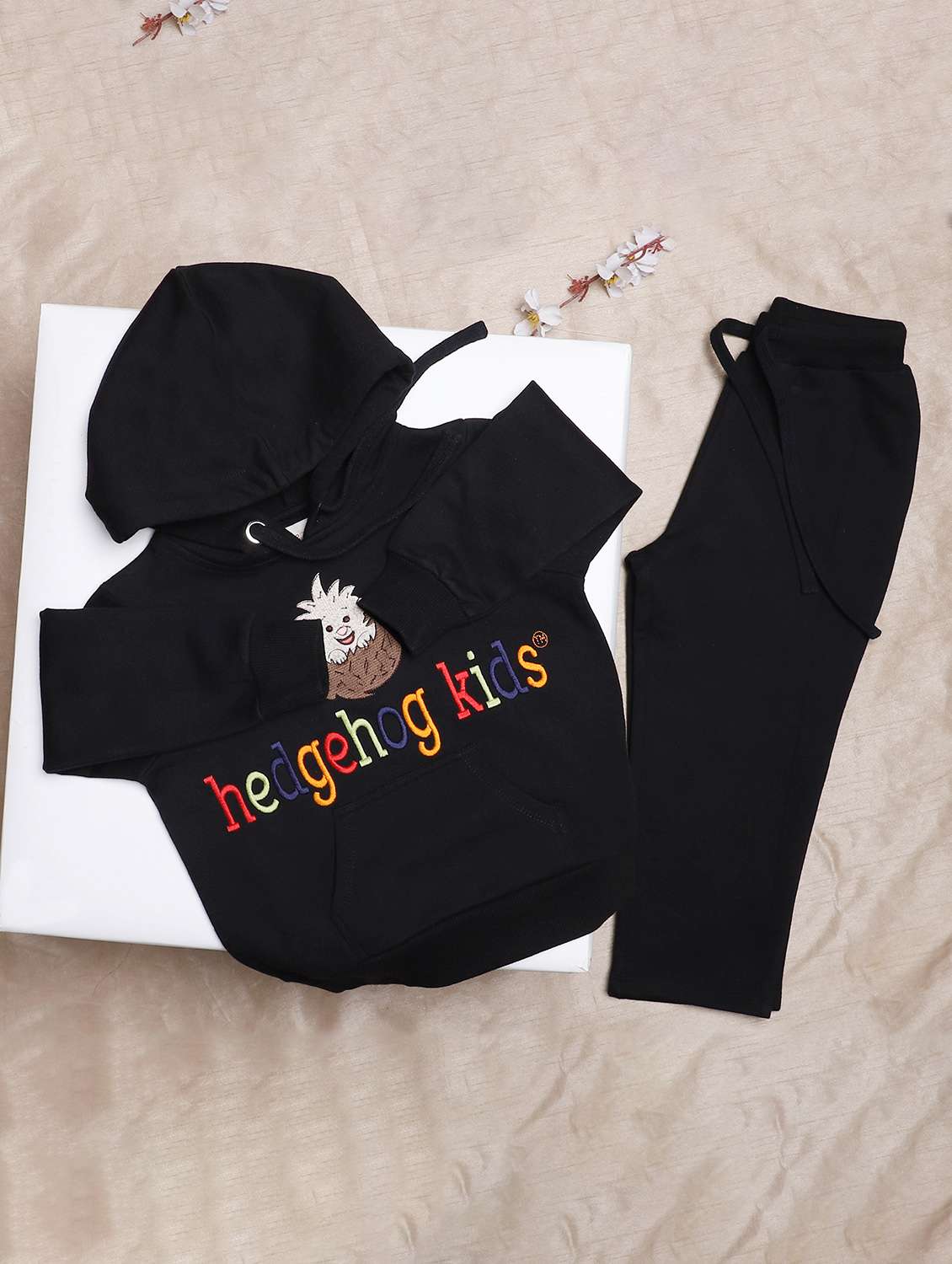 boys printed hooded full length set - 22179520 -  Standard Image - 1