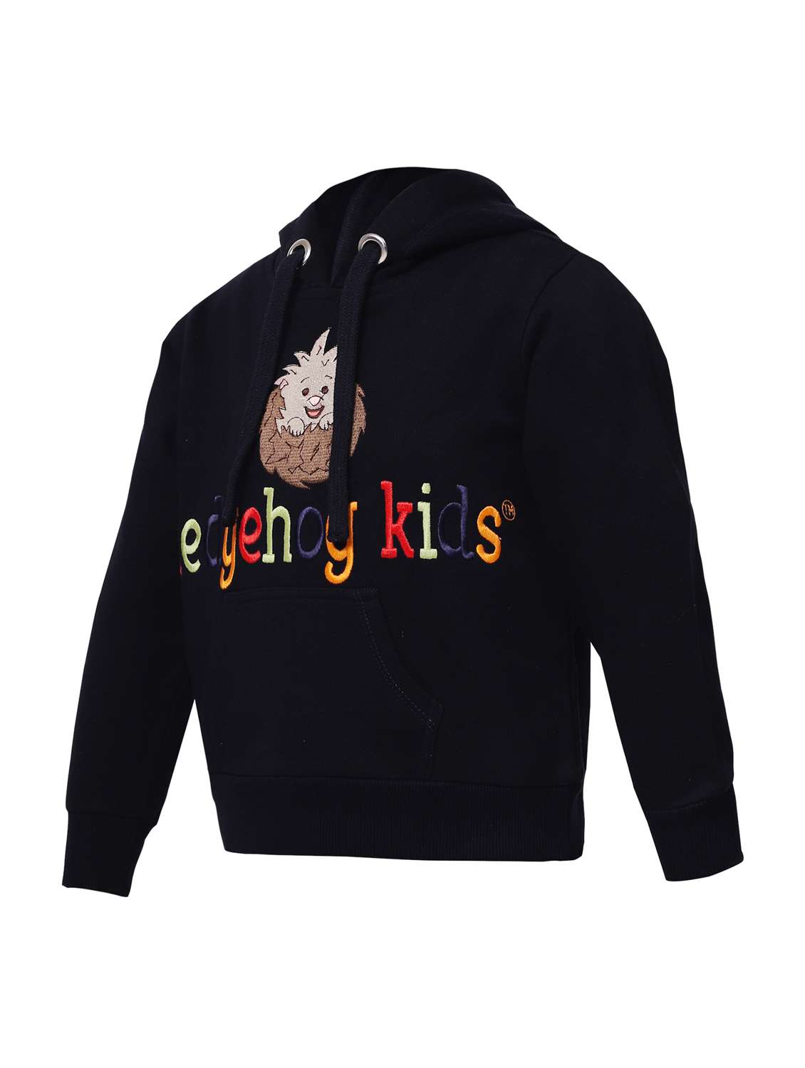 boys printed hooded full length set - 22179520 -  Standard Image - 4