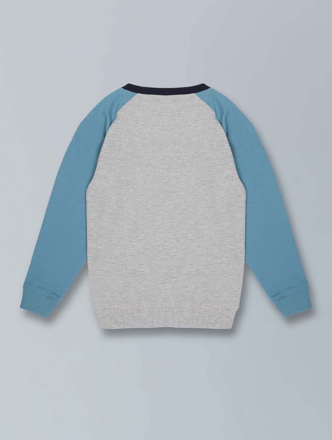 boys printed long sleeve sweatshirt - 22187682 -  Standard Image - 1