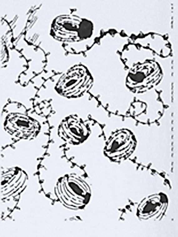 boys printed long sleeve full lenght set - 22218715 -  Standard Image - 4