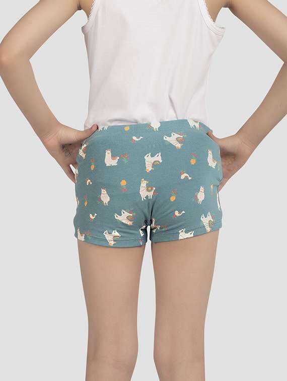 girls pack of 3 printed bloomer - 22223591 -  Standard Image - 4