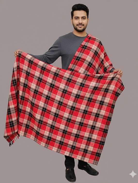 men checkered pashmina shawl - 22224472 -  Standard Image - 1