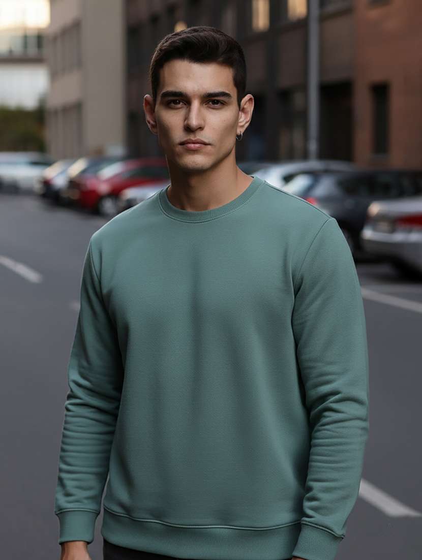 men solid long sleeve regular fit sweatshirt - 22244371 -  Standard Image - 1