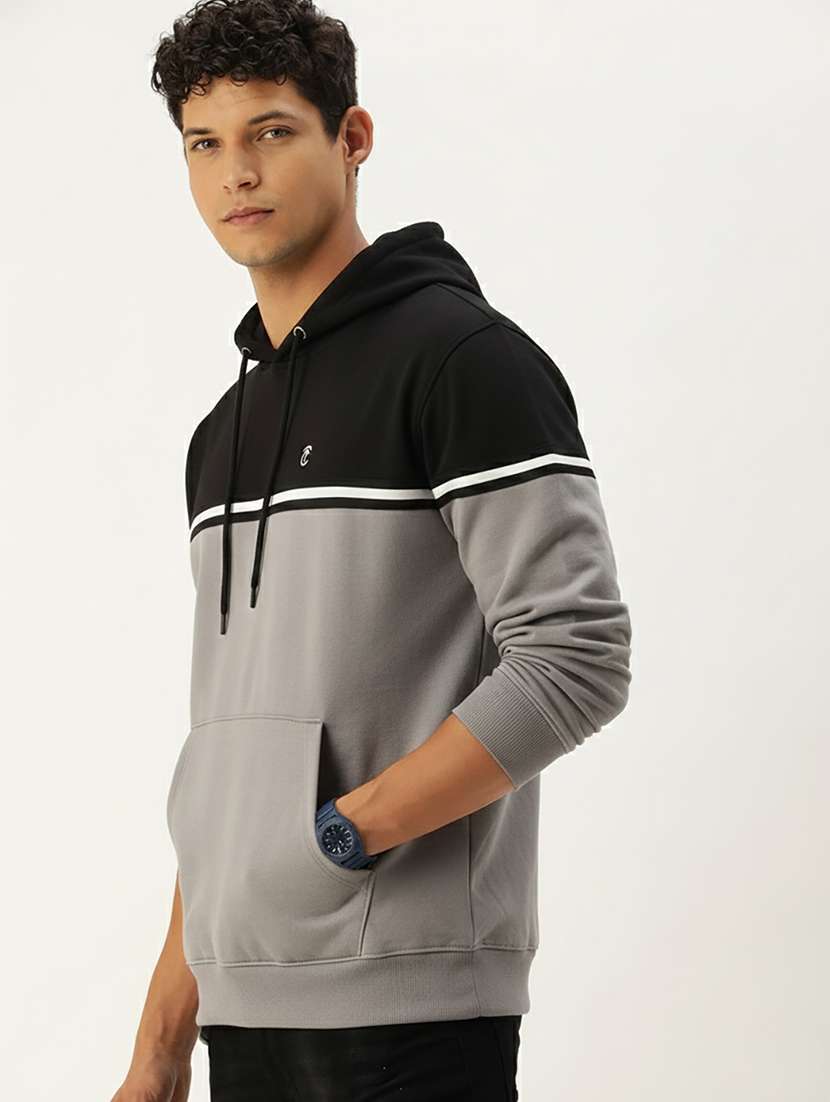 men color block long sleeve regular fit sweatshirt - 22266932 -  Standard Image - 1