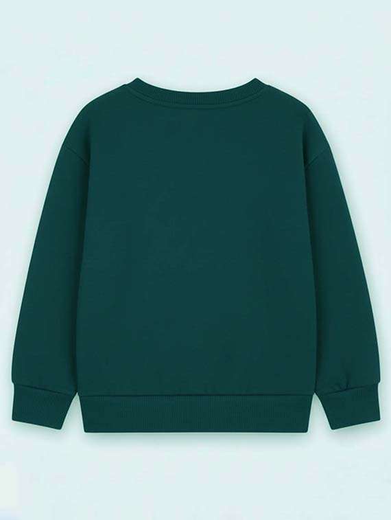 boys printed long sleeve sweatshirt - 22274302 -  Standard Image - 1