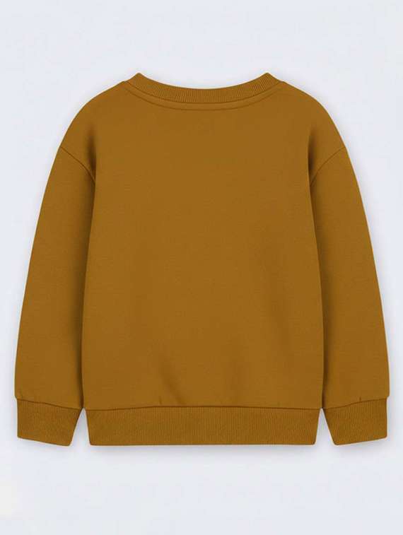 boys printed long sleeve sweatshirt  - 22275873 -  Standard Image - 1