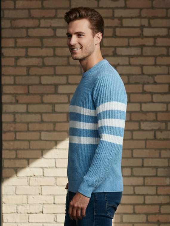 men striped long sleeve regular fit pullover  - 22278309 -  Standard Image - 1