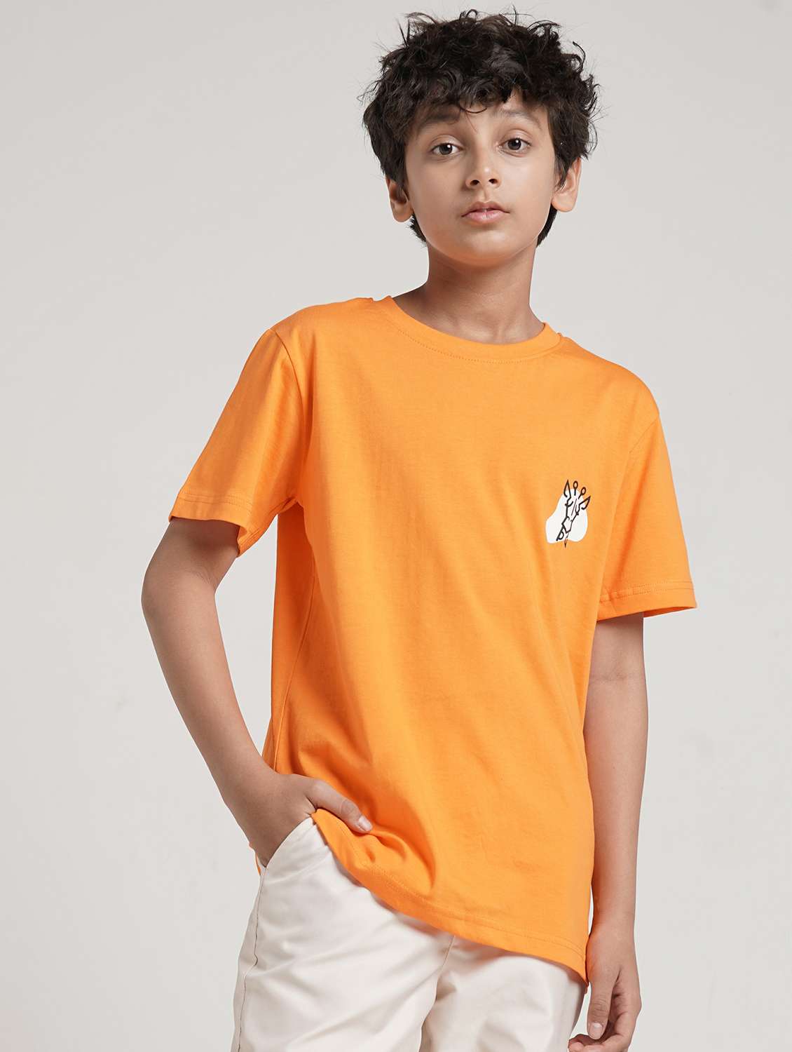 boys printed short sleeve t-shirt - 22293681 -  Standard Image - 1