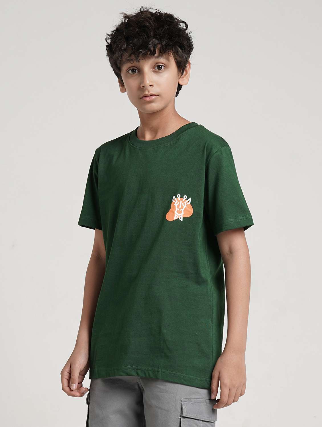 boys printed short sleeve t-shirt - 22293682 -  Standard Image - 1