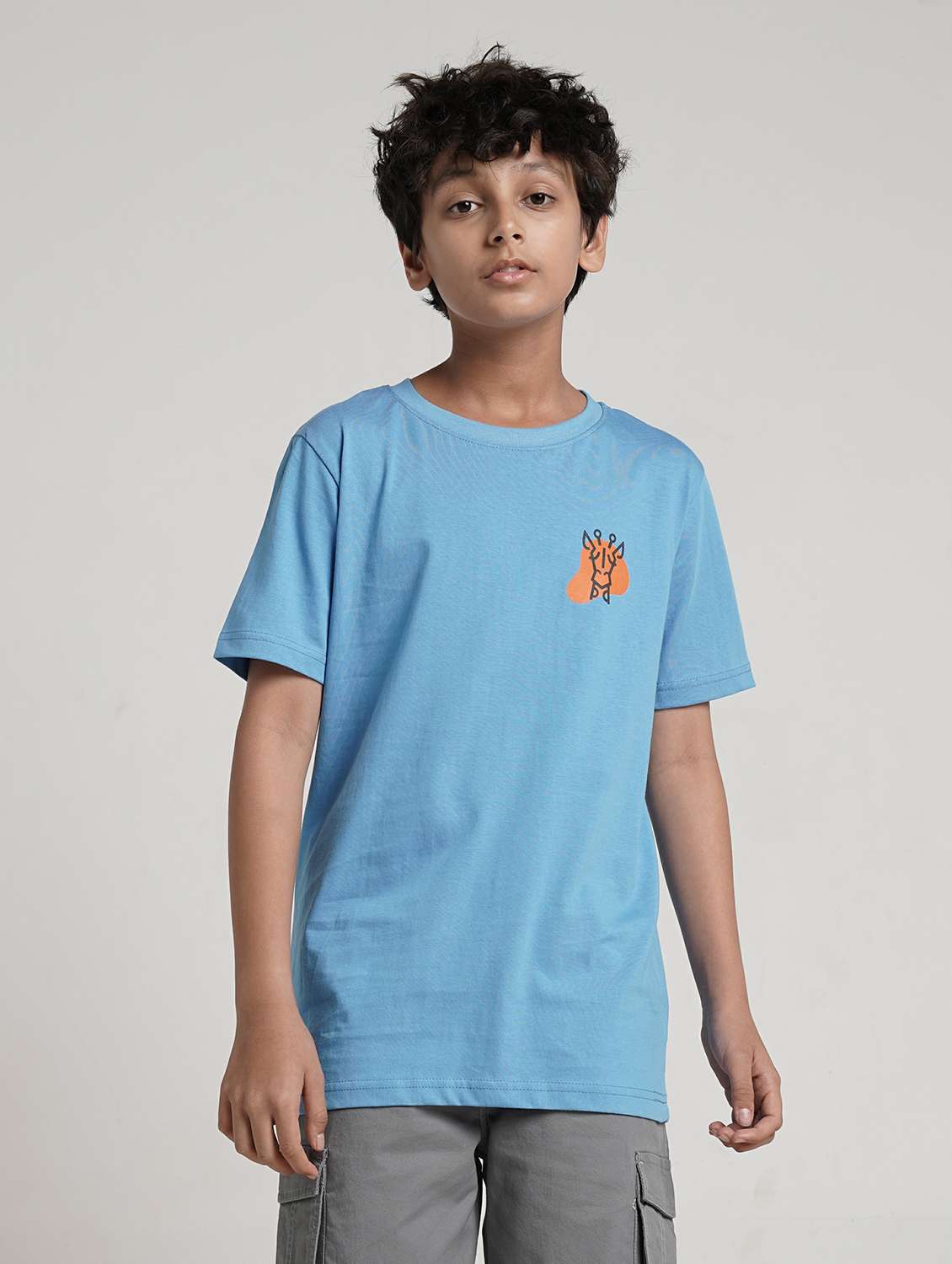 boys printed short sleeve t-shirt - 22293684 -  Standard Image - 1
