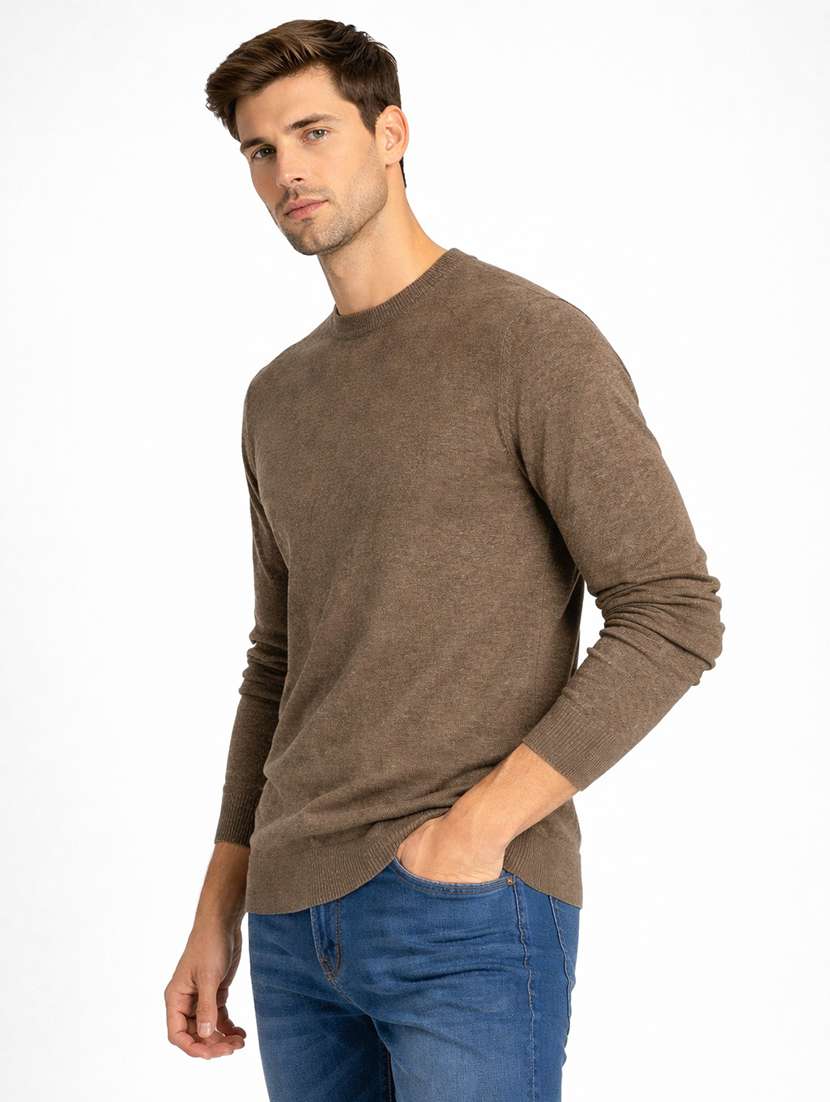 men solid long sleeve regular fit pullover - 22296273 -  Standard Image - 1