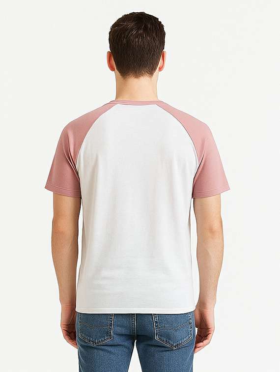 men color block raglan sleeve regular fit t-shirt - 22310959 -  Standard Image - 1