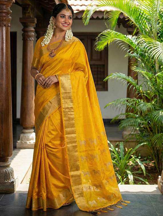 women self design bordered saree with blouse