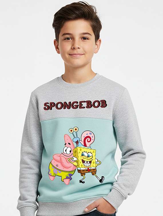 boys printed long sleeve sweatshirt - 22409331 -  Standard Image - 1