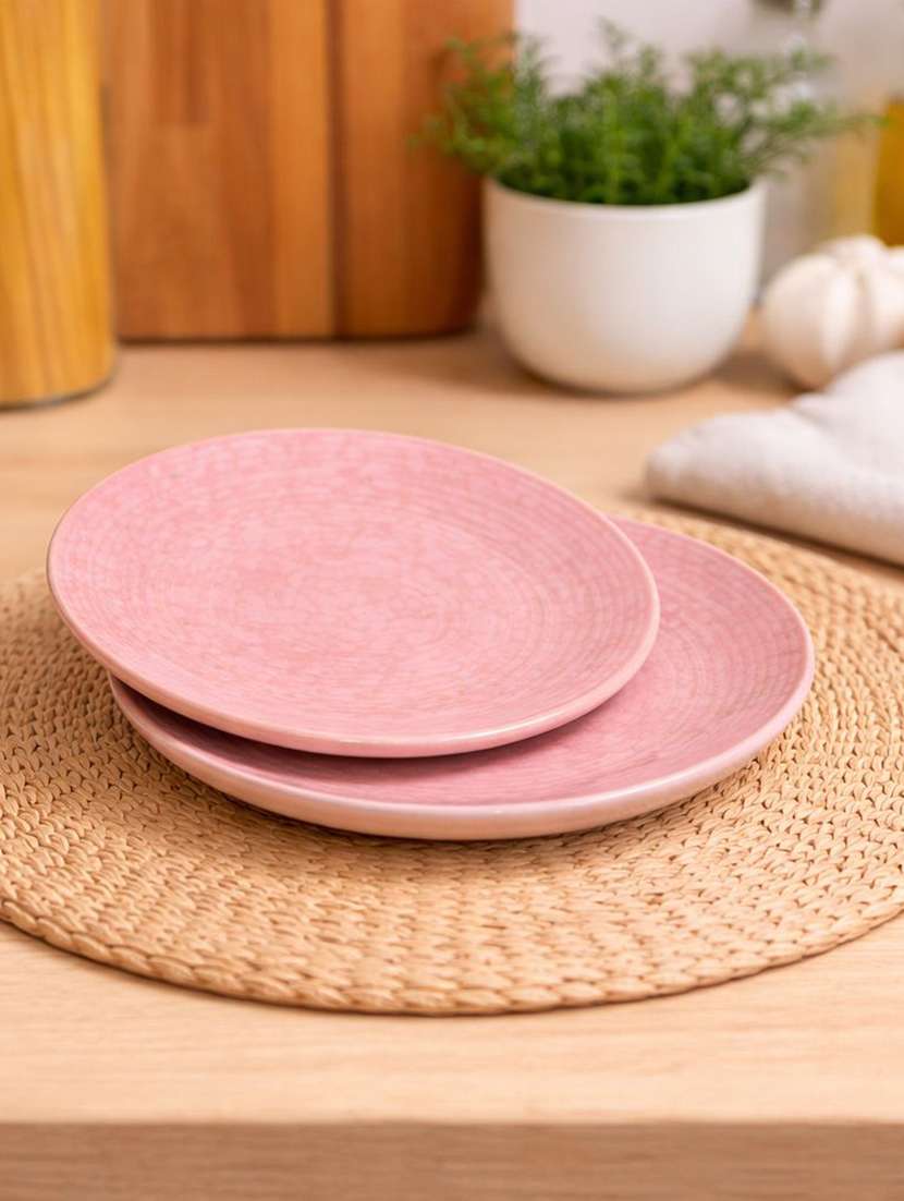 set of 2  ceramic dinner plate