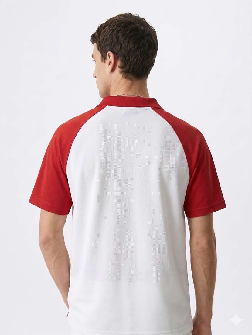 men color block raglan sleeve regular fit polo t-shirt - 22480730 -  Standard Image - 4