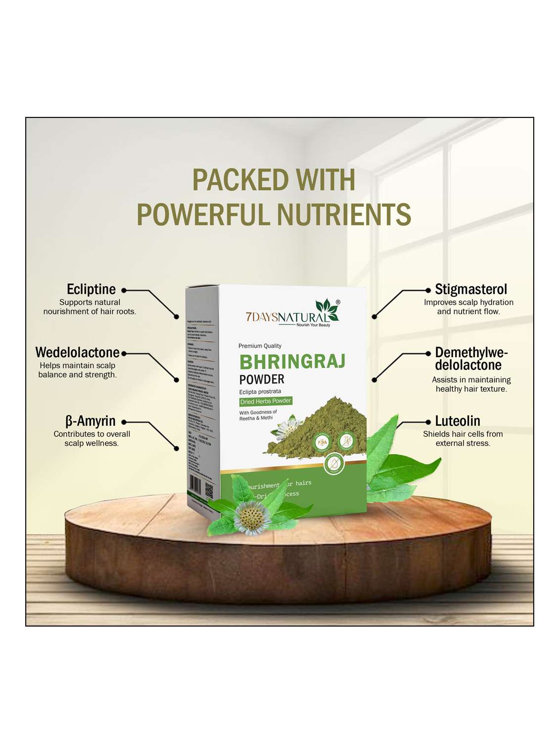 bhringraj powder - 22489814 -  Standard Image - 1