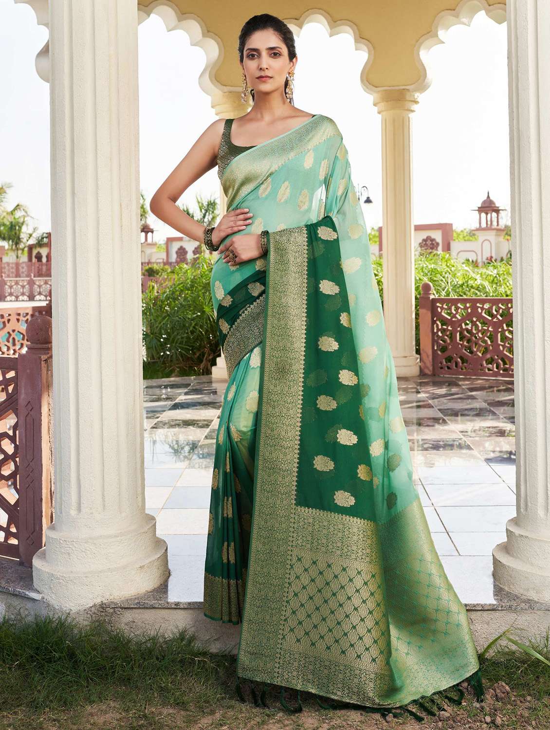 women self design banarasi saree with blouse