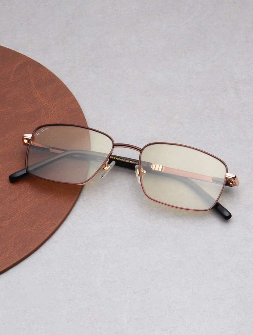 ted smith unisex brown lens & brown wayfarer sunglasses with