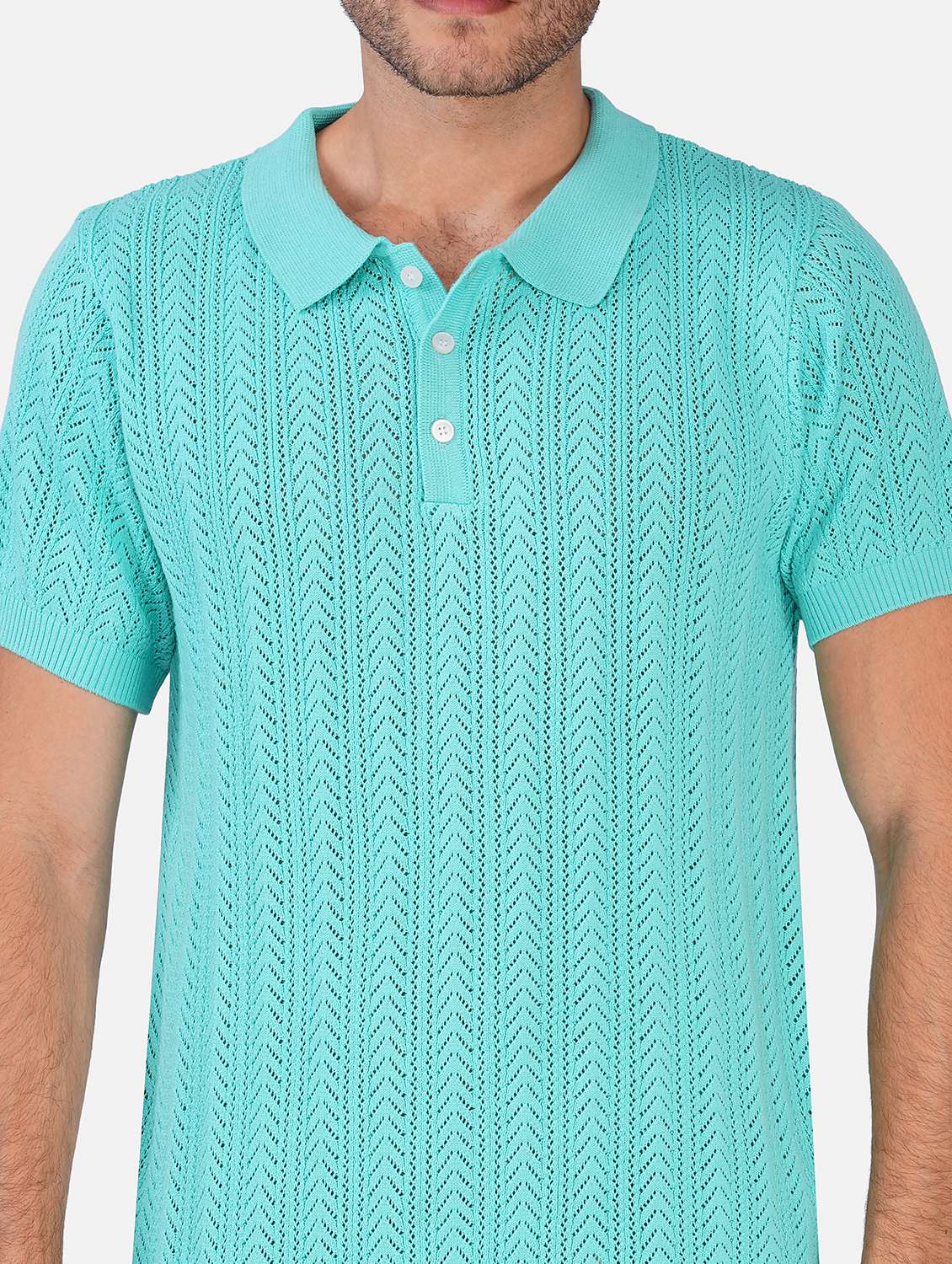 Men Self Design Short Sleeve Regular Fit Polo T-shirt - 22558343 -  Standard Image - 1