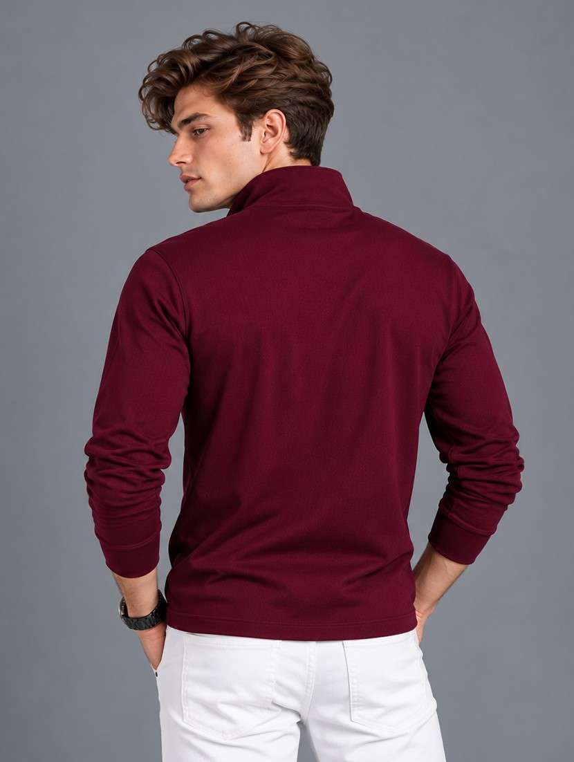 Men Solid Long Sleeves Polo T-shirt - 22723163 -  Standard Image - 4