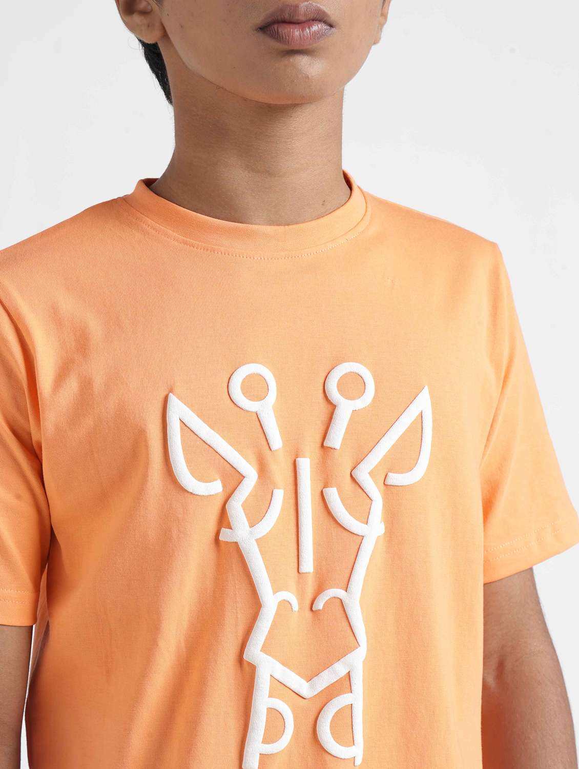 Boys Printed Short Sleeves Regular Fit T-shirt - 22727224 -  Standard Image - 1